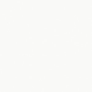 Baldocer Blanco Natural 80x80