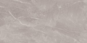 Armani Silver Poler 60x120 