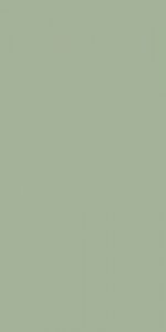 Ceramika Paradyż Feelings Green 29,8x59,8