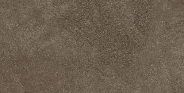 Domino Barbados Brown STR 30,8x60,8