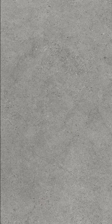 Paradyż Authority Grey 59,8x119,8