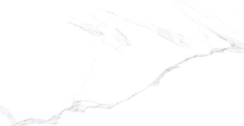 Carrara Blanco Carving 60X120