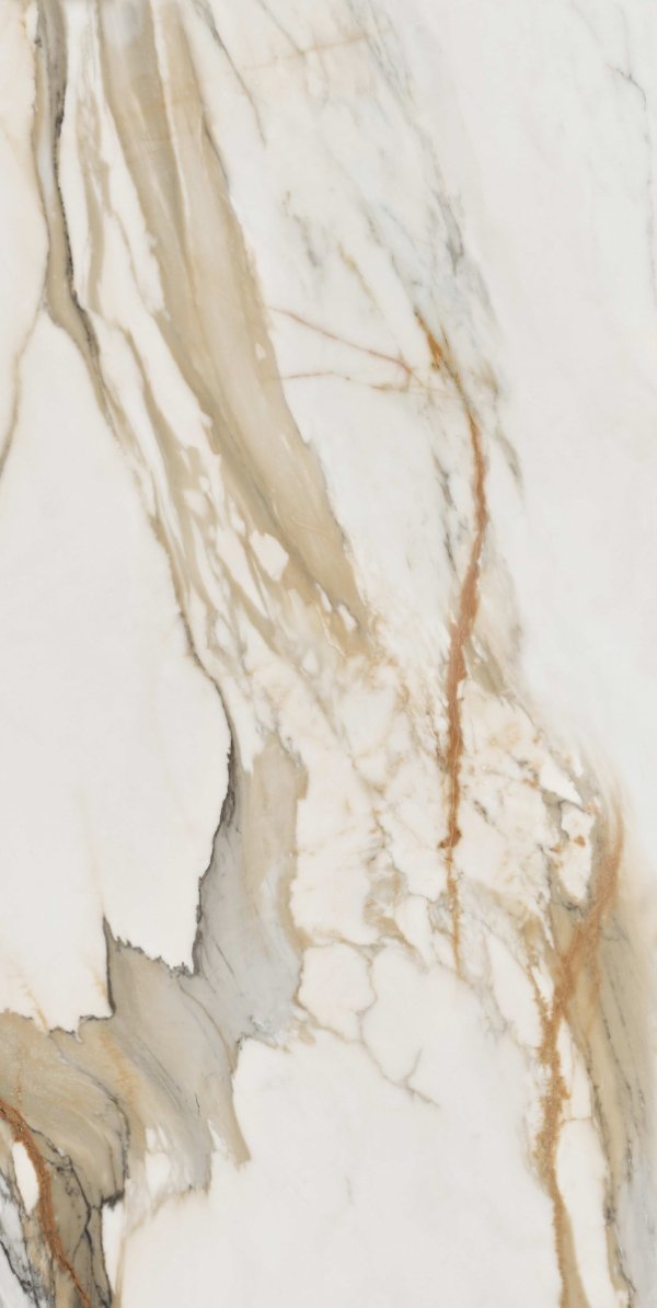 Stargres Calacatta Gold Poler 60x120