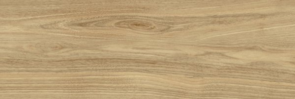 Ceramica Bianca Dreamwood Glossy 25x75