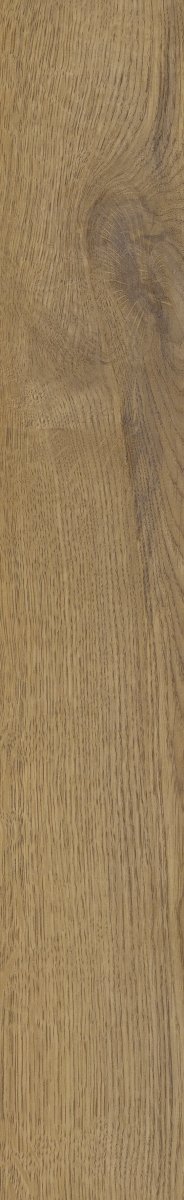 Stargres Pinea Honey 9,2x60
