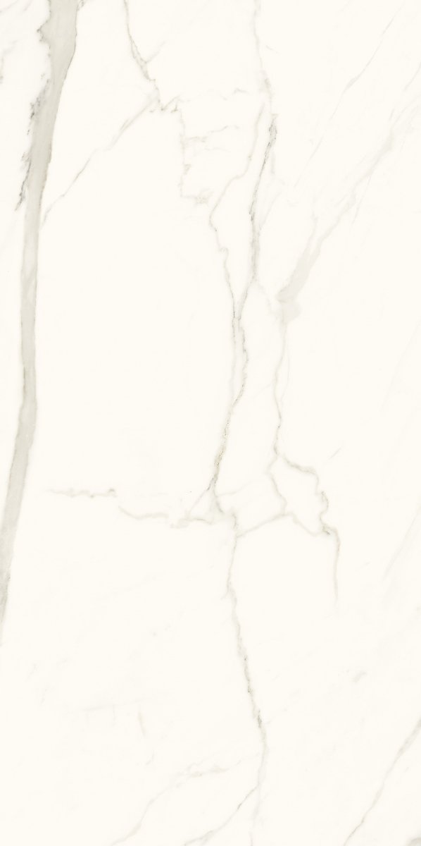 Paradyż Calacatta Mat 59,8x119,8