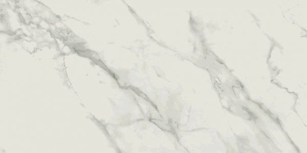 Calacatta Marble White Polished 59,8x119,8