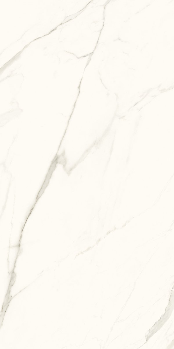 Paradyż Calacatta Mat 119,8x279,8