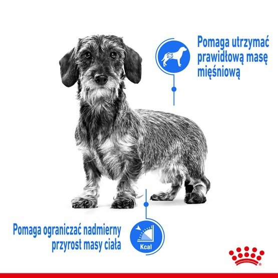 Royal Canin Mini Light Weight Care karma sucha dla psów dorosłych, ras małych z tendencją do nadwagi 8kg