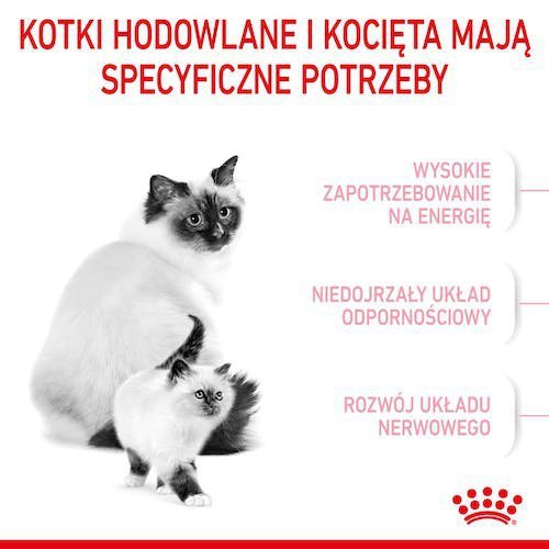 Royal Canin Mother&amp;Babycat karma sucha dla kotek w okresie ciąży, laktacji i kociąt od 1 do 4 miesiąca 4kg