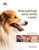 Atlas patologii jamy ustnej u psów