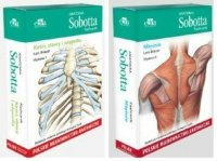Anatomia Sobotta Flashcards. Kości, stawy i więzadła + Mięśnie. Polskie mianownictwo anatomiczne 