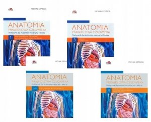 Anatomia prawidłowa człowieka Tom 1 - 4 Szpinda