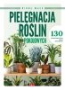 Pielęgnacja roślin pokojowych 