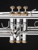 Trąbka B Stomvi Titan Copper 40th Anniversary Limited Edition