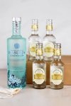 Zestaw prezentowy GIN I TONIK zdjęcie główne