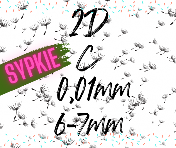 2D C 0,10 RZĘSY SYPKIE POJEDYNCZE DŁUGOŚCI 