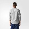 Adidas Originals Sweatshirt Doom Crew Herrenbluse In Grau BK2767