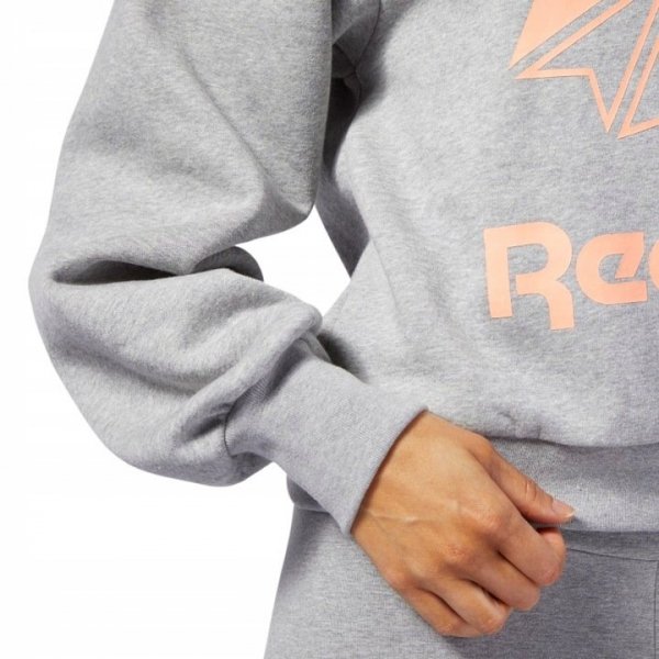 Reebok Big Logo Hoodie EB5137 Damenbluse In Grau Kapuzenpullover für Damen