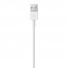 Lightning to USB Cable (0.5 m)
