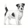 ROYAL CANIN VHN Dog Anallergenic Small 1,5kg