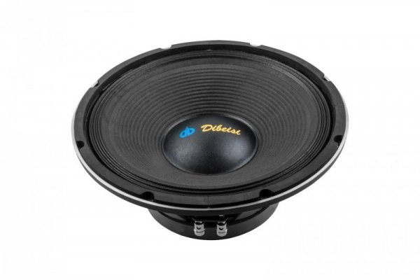 Głośnik 12&quot; DBS-PS1205-8