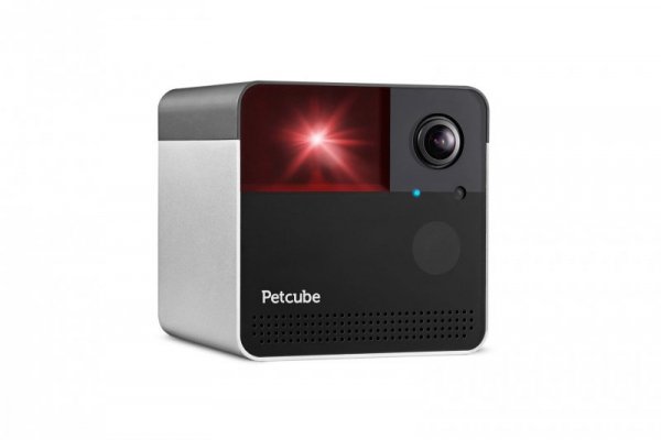 Smart HD kamera dla zwierząt Petcube Play 2