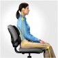 Fellowes Ergonomia podpórka poduszka profesjonalna pod plecy 
