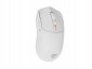 GENESIS Zircon 500 myszka Gaming Po prawej stronie RF Wireless + Bluetooth + USB Type-C Optyczny 10000 DPI 