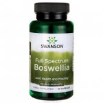 Swanson FS Boswellia forte 800 mg 60 kaps.