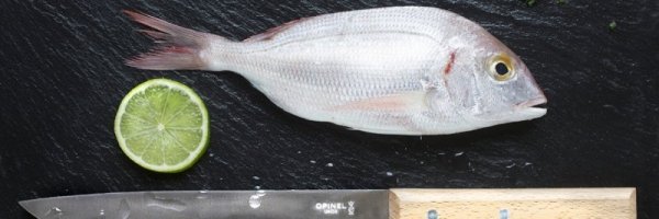 Nóż do filetowania Opinel No 121