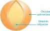 Nawóz do Trawy Jesienny BarFertile Late Barenbrug 80kg
