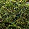 Kratka trawnikowa zielona 58x39cm IP 40