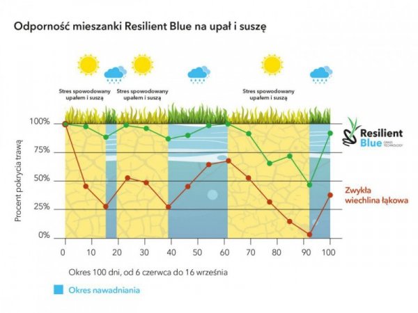 Trawa Barenbrug Na Suszę Resilient Blue Tough & easy - Ekstremalne Warunki 10kg