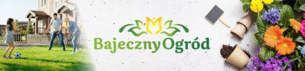 Nasiona Szczypiorek Jowisz 1g