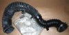 $ Conduite d'air de suralimentation Renault Trafic II 2.0DCI , 8200806067