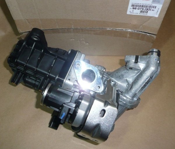Vanne EGR d'origine Citroën C4 Peugeot 308 2.0 BLUE HDI 16V, 9807593080, 9807593080