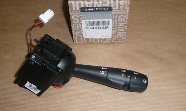 Neuf Original 255401303R