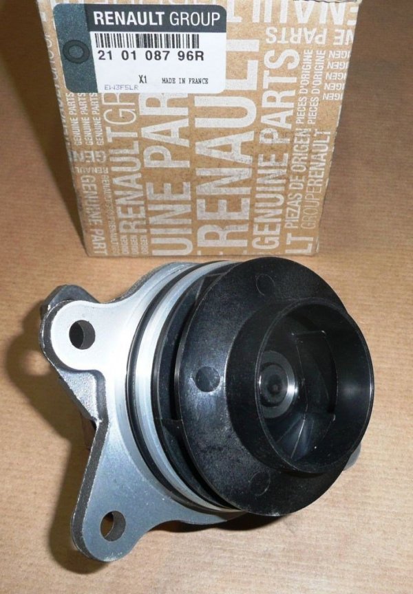 Neuf Original 210108796R
