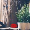 Kadzidełka HEM palące się na drewnianej podstawce w domowym wnętrzu