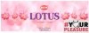Kadzidełka Zapachowe HEM Lotus - Lotos