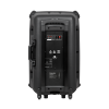 Aktywna kolumna głośnikowa (z 2 mikrofonami bezprzewodowymi UHF, SD, Bluetooth, FM, USB) 60 Watt