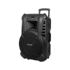 Kolumna aktywna ( z 2 mikrofonami bezprzewodowymi, SD, Bluetooth, USB) 15 120W