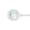 Lampa z lupą na stół 5D 6W  Rebel (30x2835 SMD)