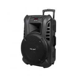 Kolumna aktywna ( z 2 mikrofonami bezprzewodowymi, SD, Bluetooth, USB) 15 120W