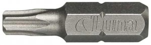 Groty Torx T20  Luna