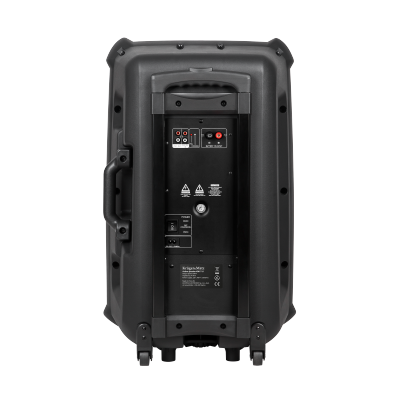 Aktywna kolumna głośnikowa (z 2 mikrofonami bezprzewodowymi UHF, SD, Bluetooth, FM, USB) 60 Watt