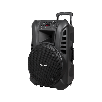 Kolumna aktywna ( z 2 mikrofonami bezprzewodowymi, SD, Bluetooth, USB) 15&quot; 120W