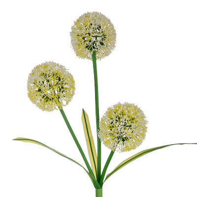 Ogrodowe ozdobne  lampki solarne Rebel- czosnek ozdobny