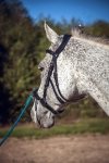 Kawecan skórzany HORKA - z anatomiczną potylicą i funkcją Ogłowia
